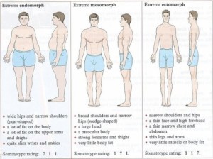 Ectomorph