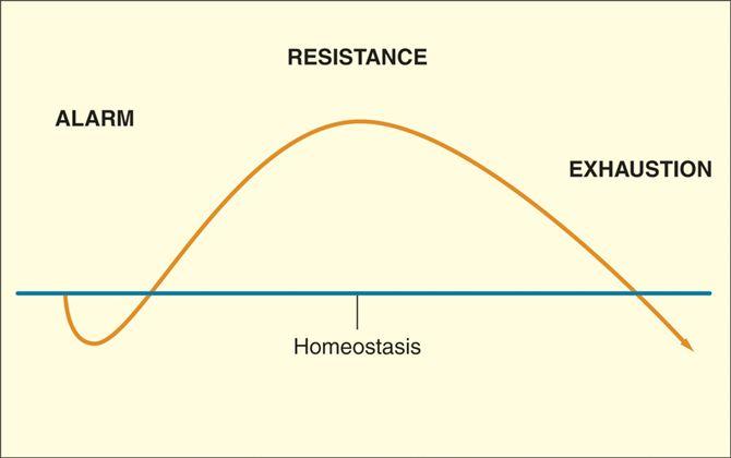 Photo Credit: PsychloPedia.Wikispaces.com