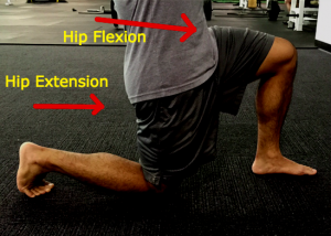 Hip Extension + Hip Flexion