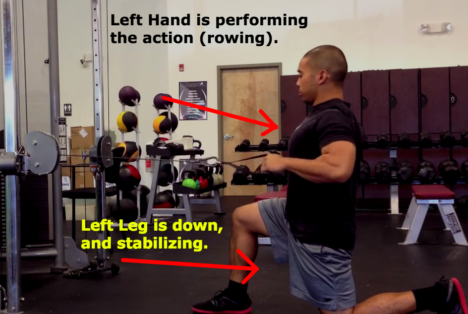 Half Kneeling 1-Arm Cable Row