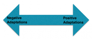 Adaptation Continuum