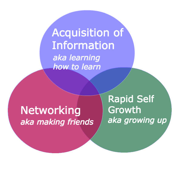 Internship Venn Diagram