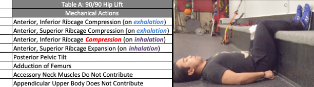 http://miguelaragoncillo.com/wp-content/uploads/2020/05/9090-Hip-Lift-Table.png